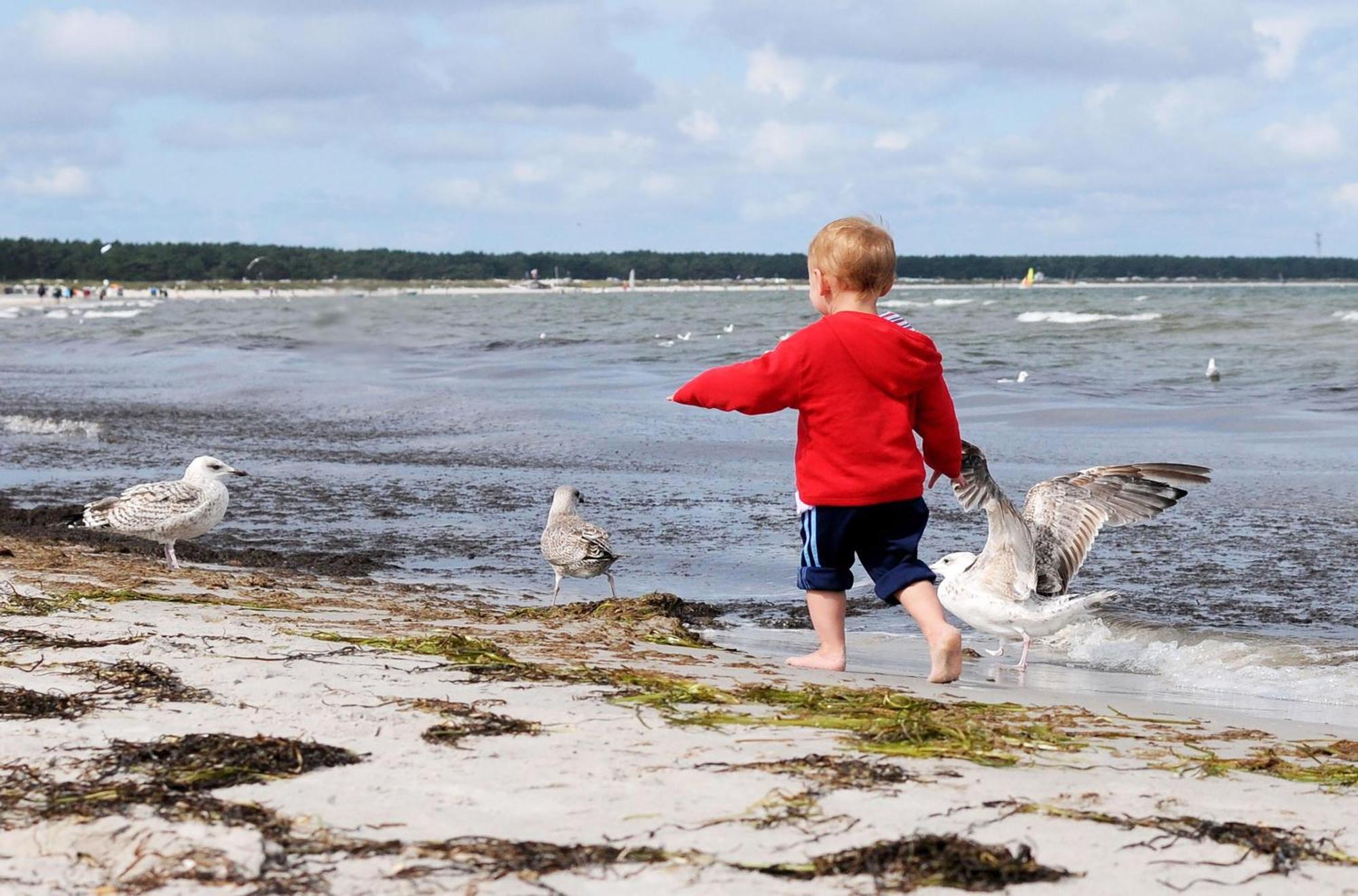 Kleine Freiheit An Der Seebruecke Zingst Exterior foto